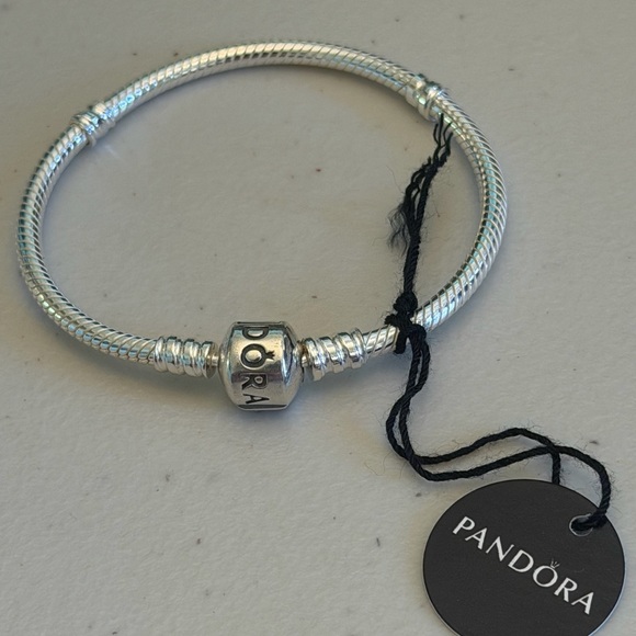 Pandora Classic Silver Bracelet - Picture 12 of 12